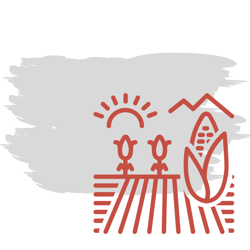 evein-smart-farming-automatic-field-detection